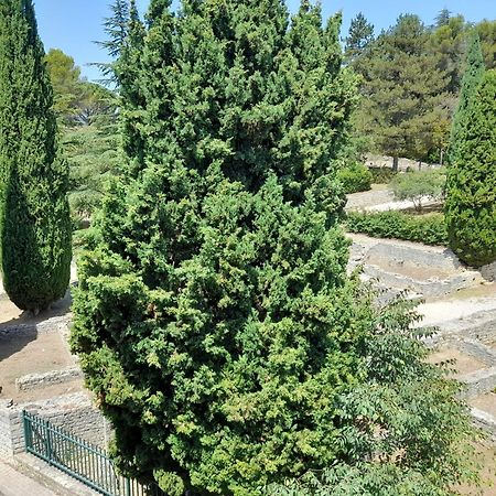 Ferienwohnung Grande Terrasse Et Vue Sur Le Site Antique Vaison-la-Romaine Exterior foto