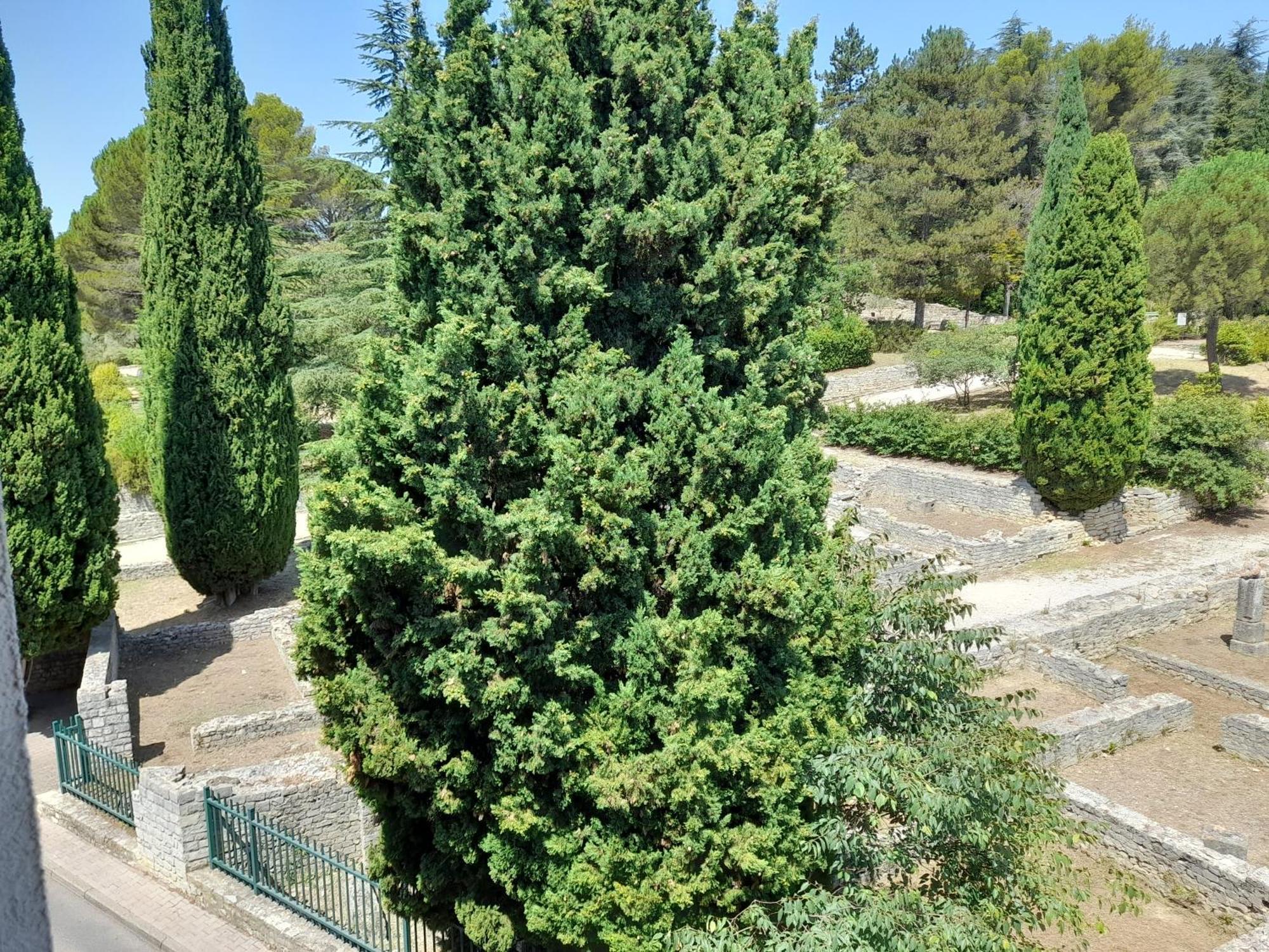 Ferienwohnung Grande Terrasse Et Vue Sur Le Site Antique Vaison-la-Romaine Exterior foto